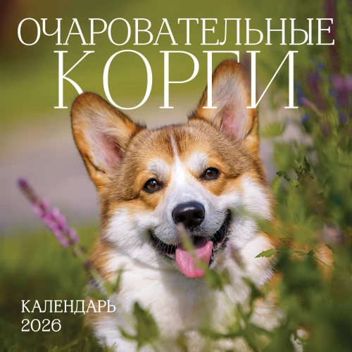 Kalendarz ścienny na 2026 rok - Urocze corgi