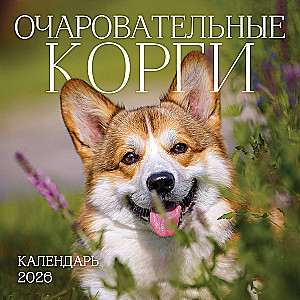 Kalendarz ścienny na 2026 rok - Urocze corgi