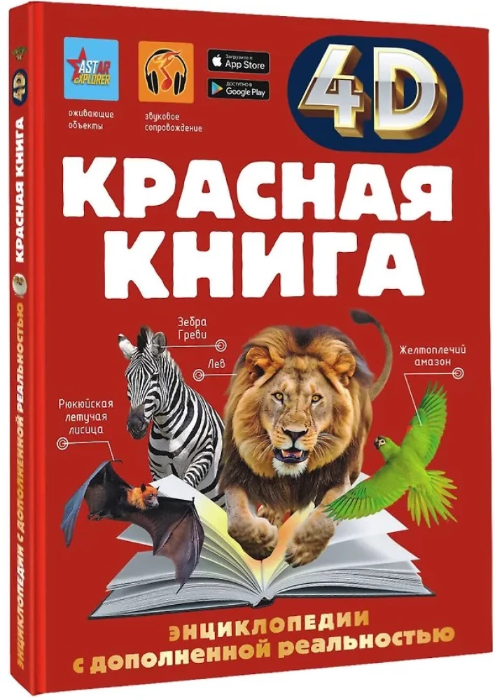 Raudonoji knyga