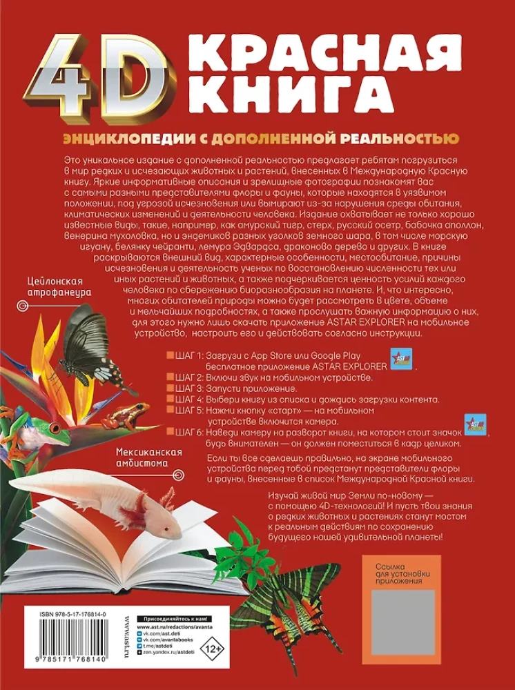 Raudonoji knyga