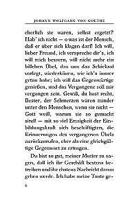 Die Leiden des jungen Werthers