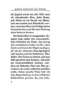 Die Leiden des jungen Werthers