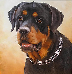 Gemälde nach Zahlen - Rottweiler