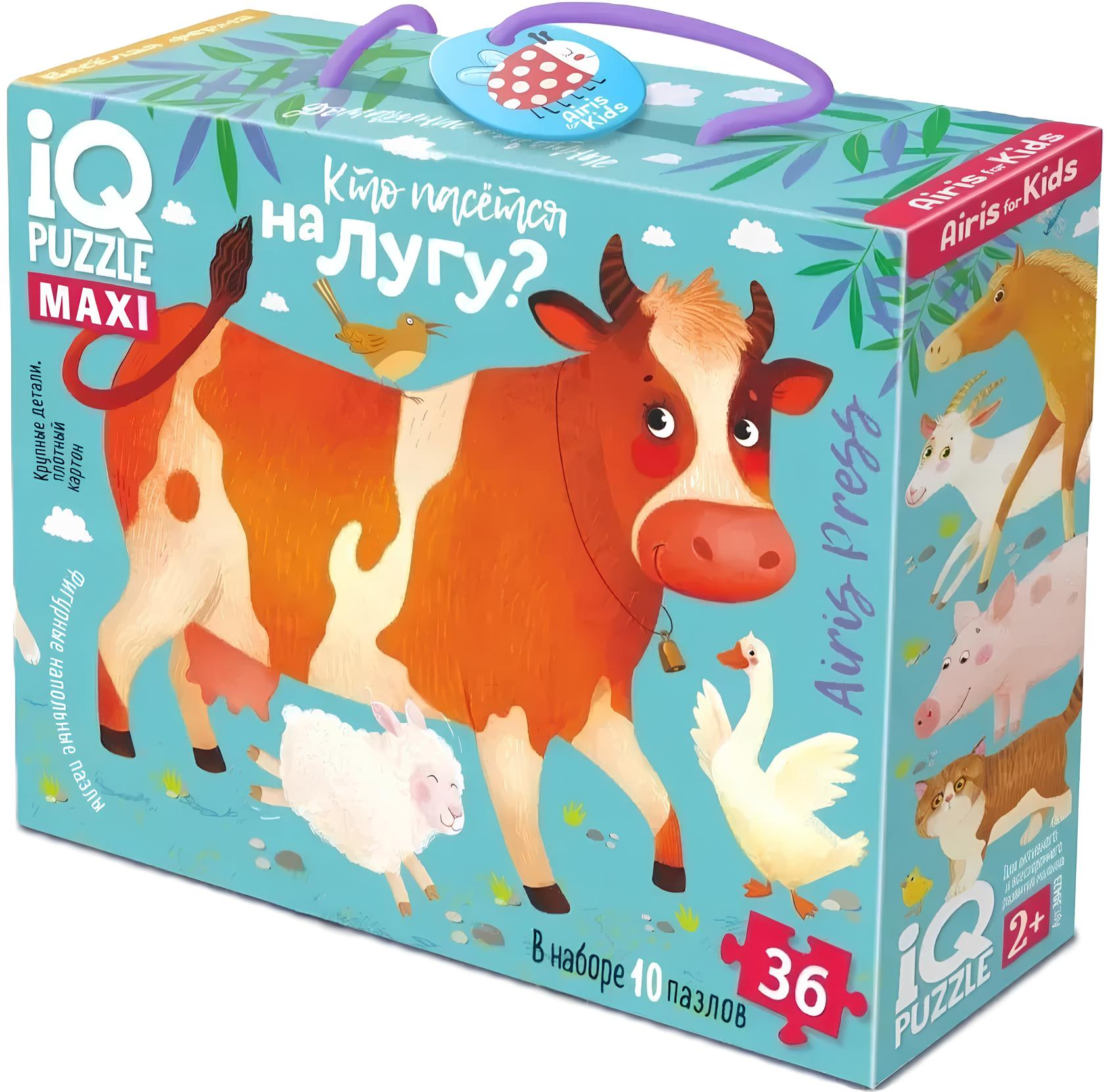 Floor puzzle 36: Pets