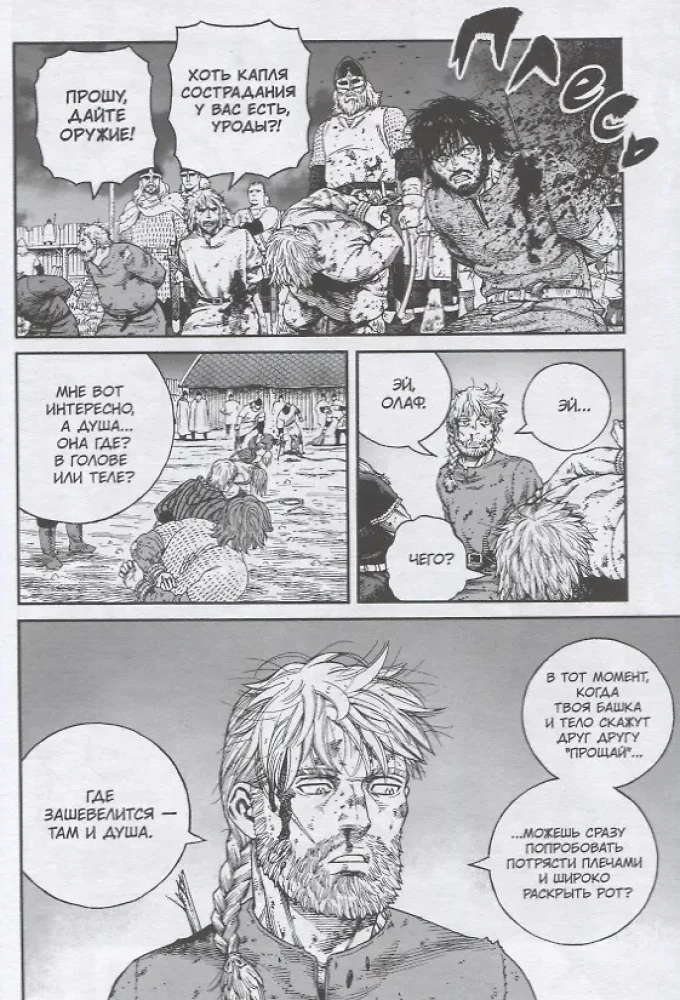 Die Saga von Vinland. Buch 11