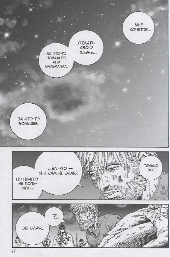 Die Saga von Vinland. Buch 11