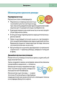 Сахарный человек. Все, что вы хотели знать о сахарном диабете 1-го типа