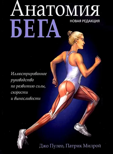 Anatomy of Running