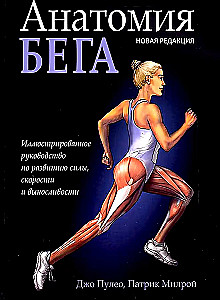 Anatomy of Running