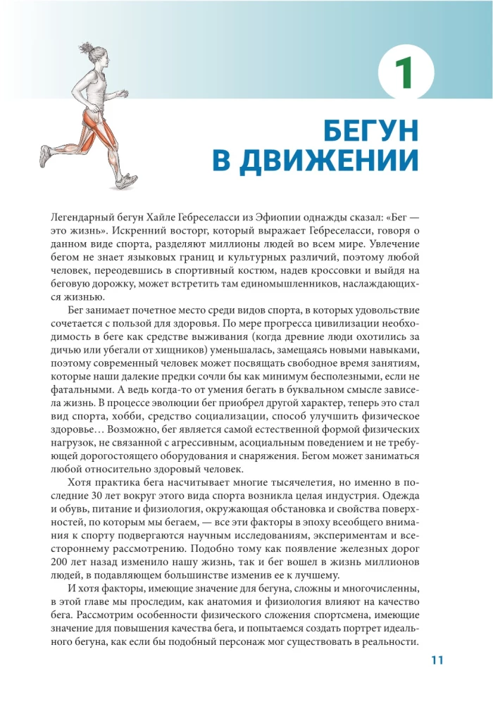 Anatomy of Running