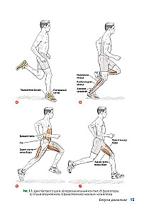 Anatomy of Running
