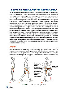 Anatomy of Running