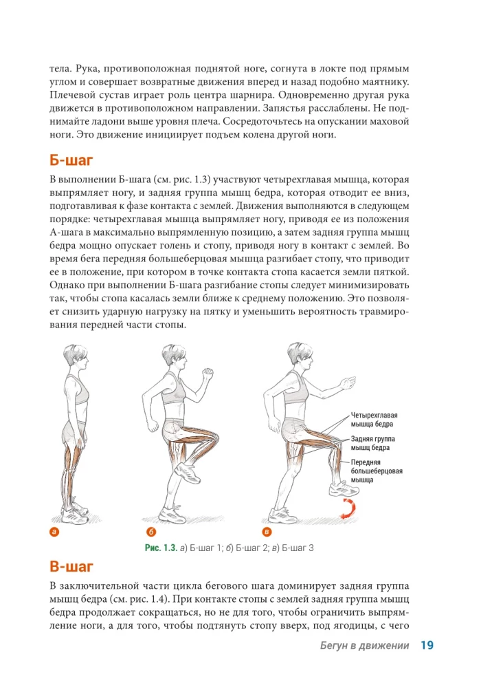 Anatomy of Running