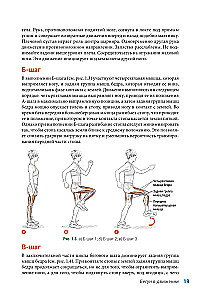 Anatomy of Running