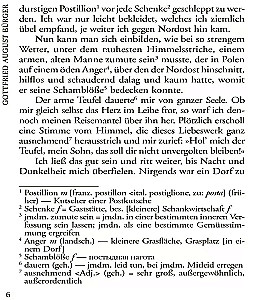 Abenteuer des Freiherrn von Munchhausen und andere wundersame geschichten
