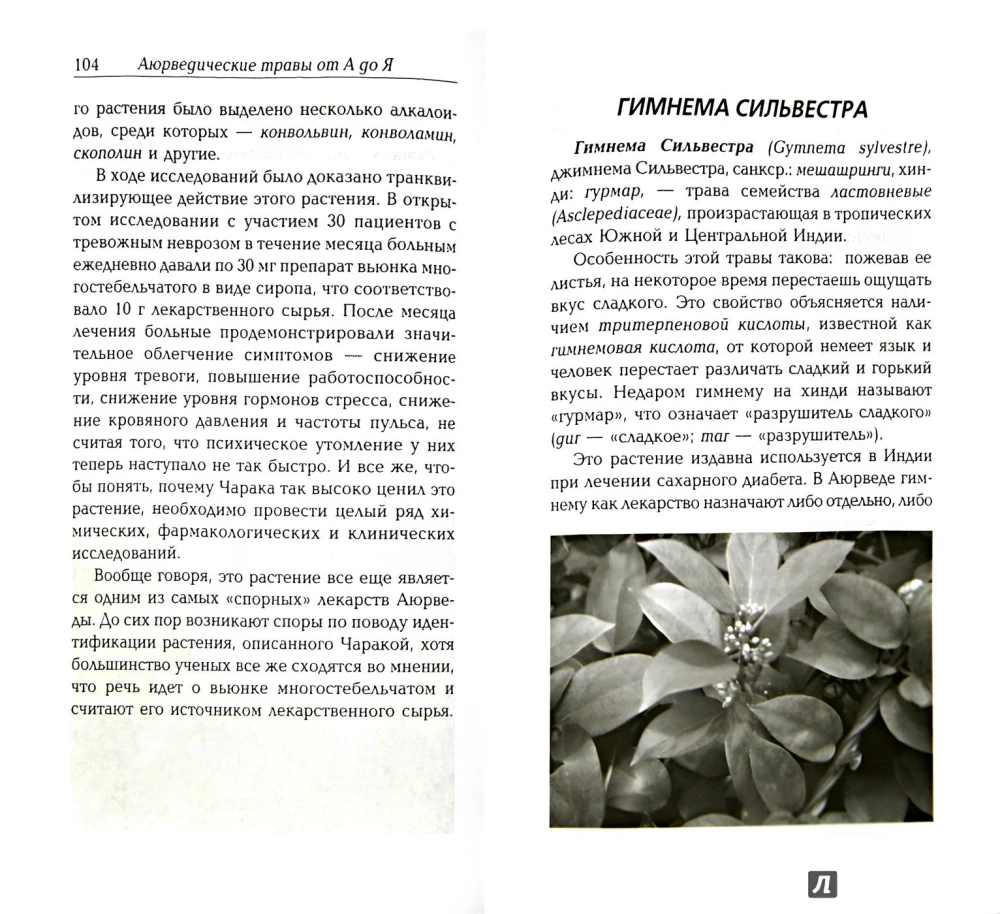 Sacred Plants of Ayurveda