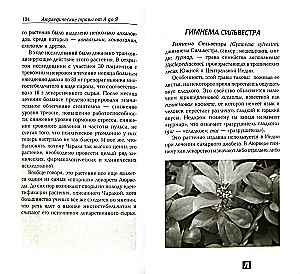 Sacred Plants of Ayurveda