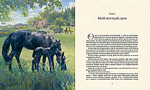 Czarny Piękniś