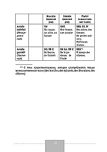 Französisch. Vollständige Grammatik