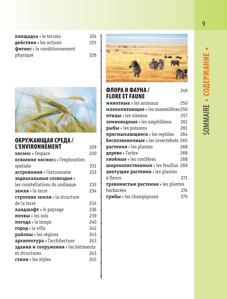 French-Russian Visual Dictionary with Transcription