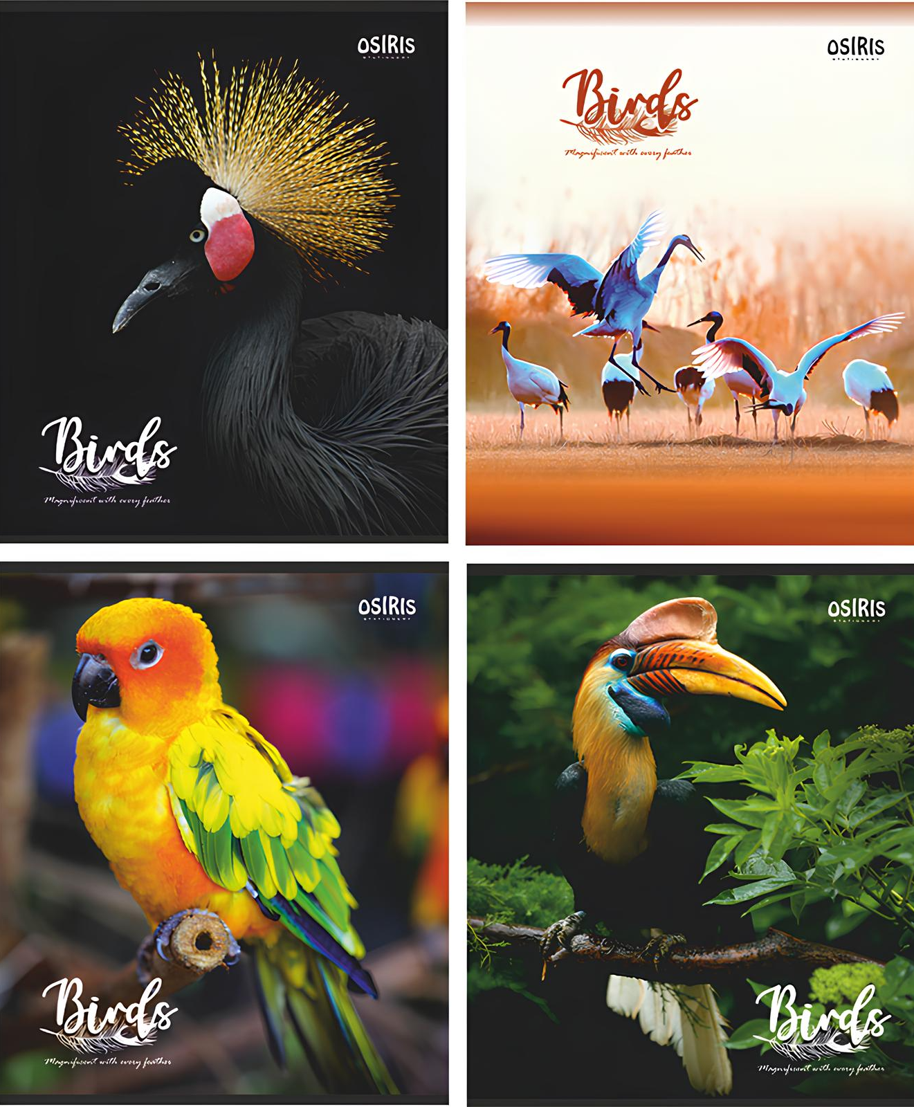 Notes - Ptaki, A5, 48 stron, linia, w asortymencie