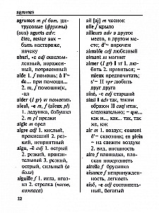 Large French-Russian Russian-French Dictionary