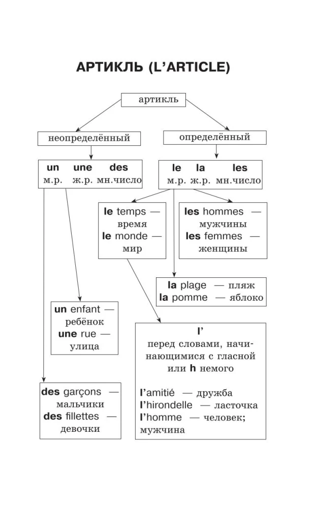 All rules of the French language in diagrams and tables