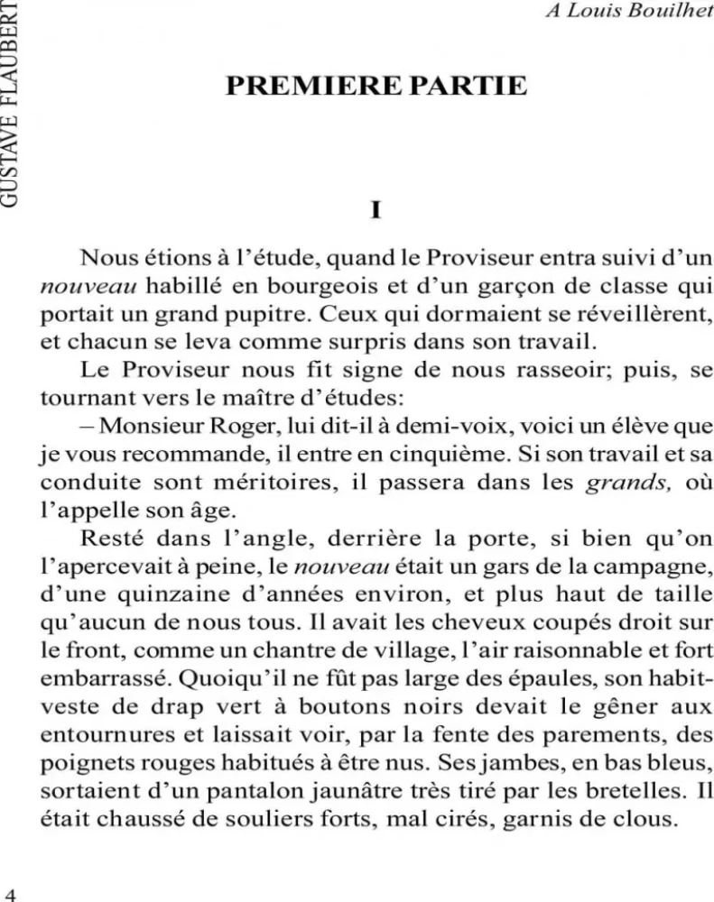Madame Bovary / Madame Bovary