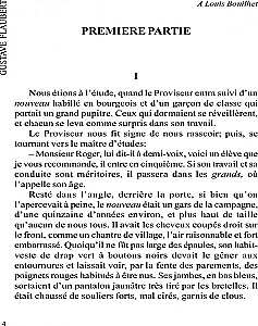 Madame Bovary / Madame Bovary