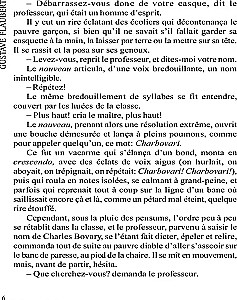 Madame Bovary / Madame Bovary