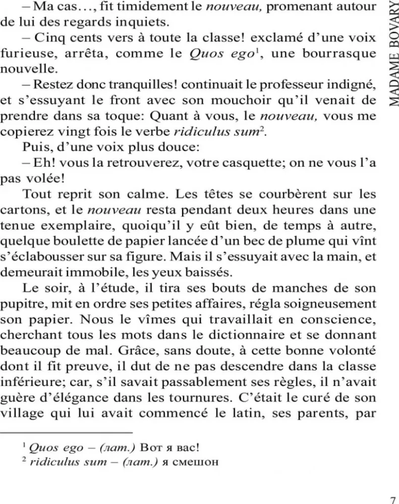 Madame Bovary / Madame Bovary