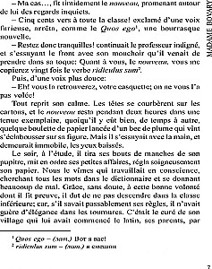 Madame Bovary / Madame Bovary