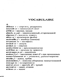 Madame Bovary / Madame Bovary