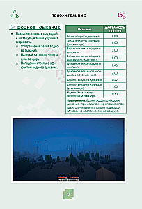 Minecraft. Nõiad, enchantments ja efektid. Illustreeritud algajate juhend