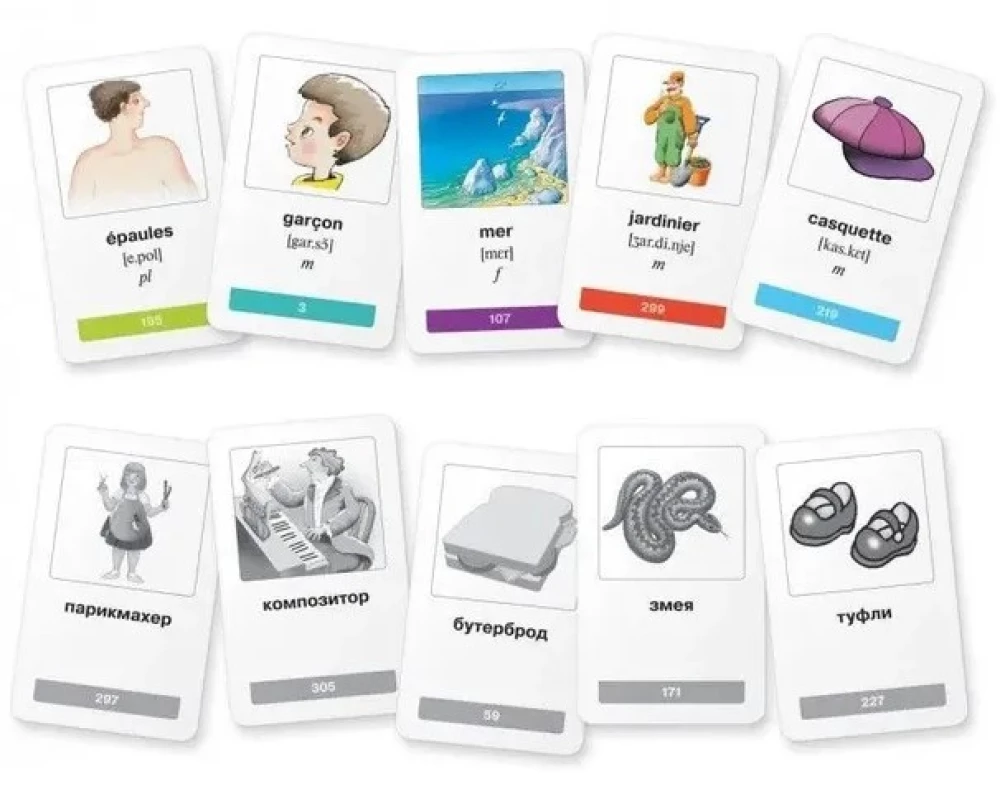 Set von Karten - Meine ersten französischen Wörter (333 Karten)