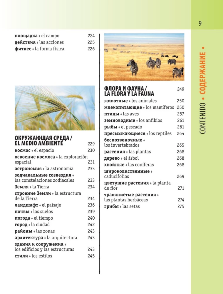 Hispaania-vene visuaalne sõnaraamat transkriptsiooniga