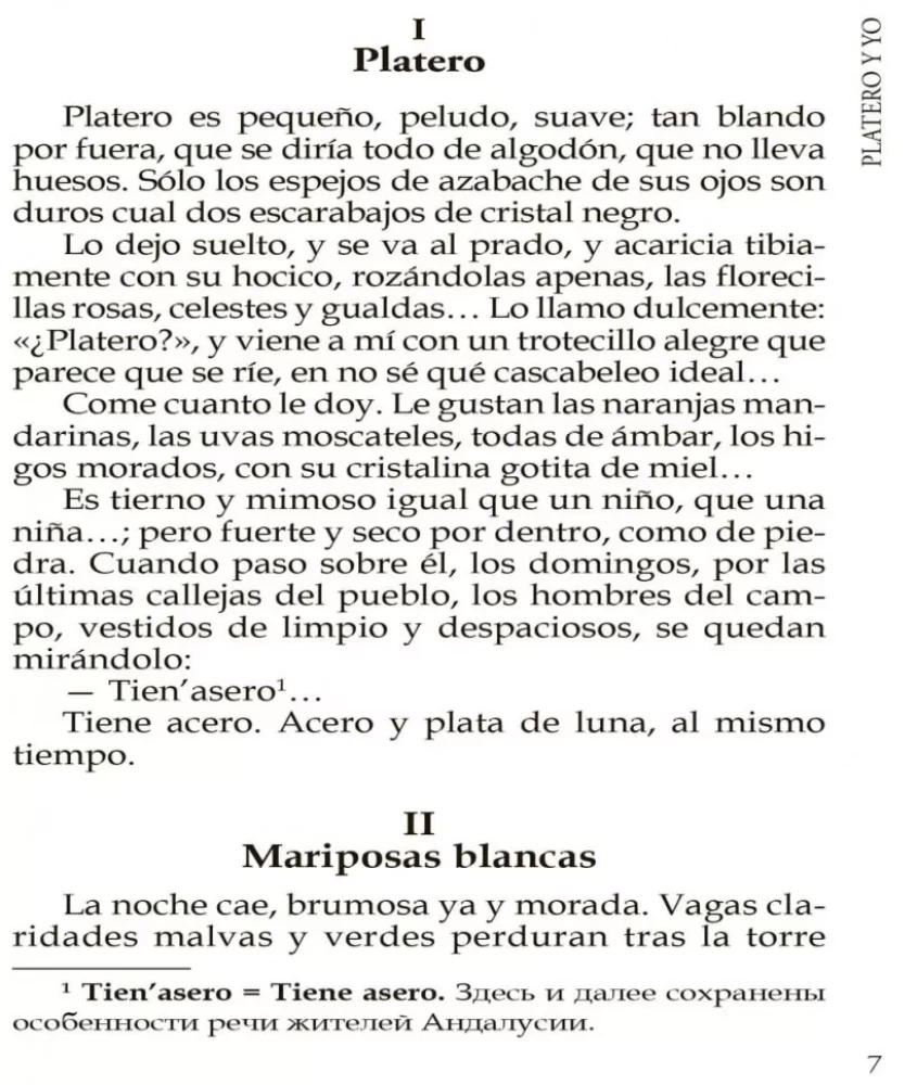 Platero ja mina