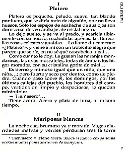 Platero ja mina