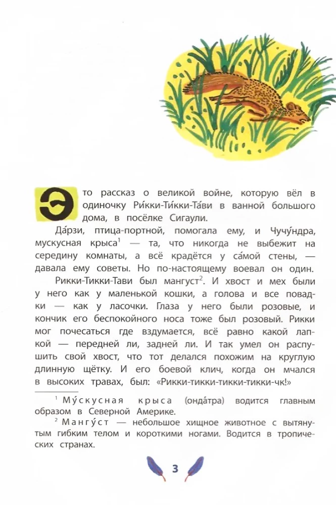 Rikki-Tikki-Tavi