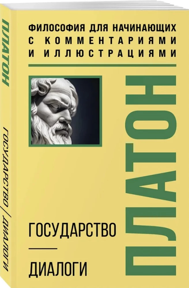 Valstybė. Dialogai. Filosofija pradedantiesiems su komentarais ir iliustracijomis