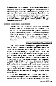Мифы кельтских народов. Боги, герои, силы природы, символы, мотивы, ритуалы, друиды