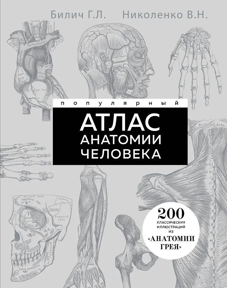 Populiarus žmogaus anatomijos atlasas. 200 klasikinės iliustracijos iš Gray anatomijos