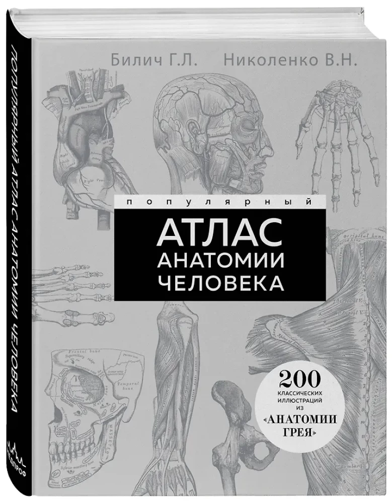 Популярный атлас анатомии человека. 200 классических иллюстраций из Анатомии Грея