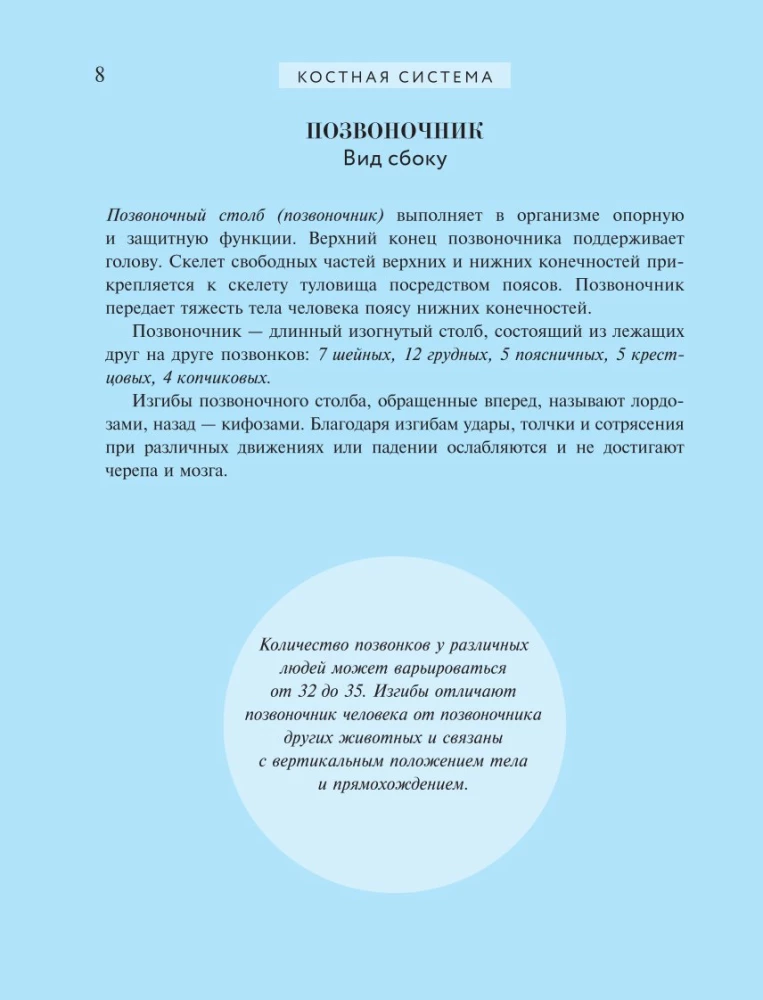 Популярный атлас анатомии человека. 200 классических иллюстраций из Анатомии Грея