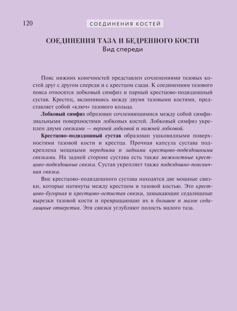 Популярный атлас анатомии человека. 200 классических иллюстраций из Анатомии Грея