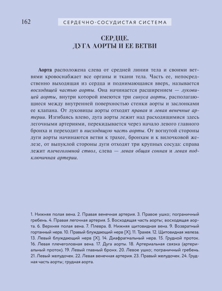 Популярный атлас анатомии человека. 200 классических иллюстраций из Анатомии Грея