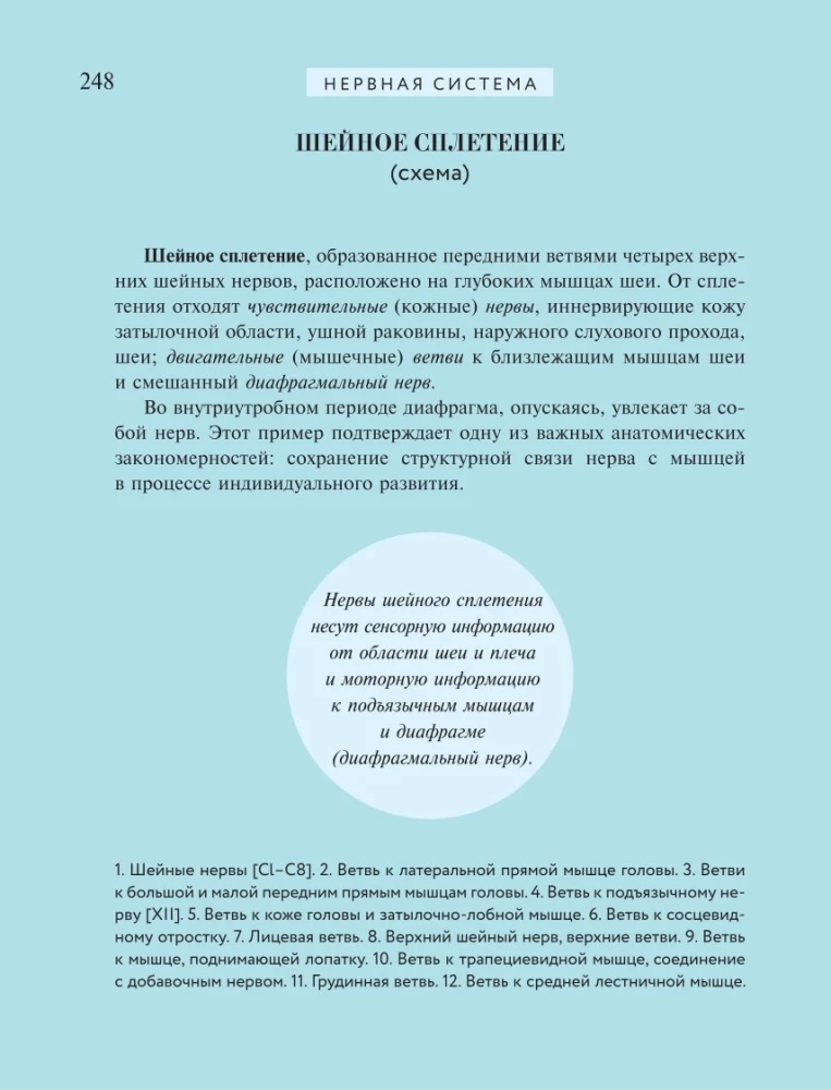 Популярный атлас анатомии человека. 200 классических иллюстраций из Анатомии Грея