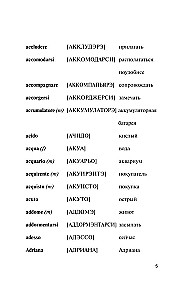 Popular Italian-Russian Russian-Italian Dictionary with Pronunciation