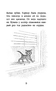 Kitten Ray, or Homesickness