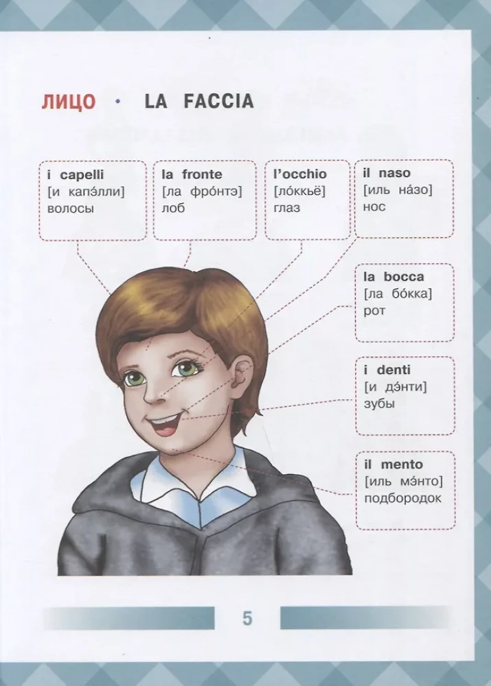 Children's Italian-Russian Visual Dictionary